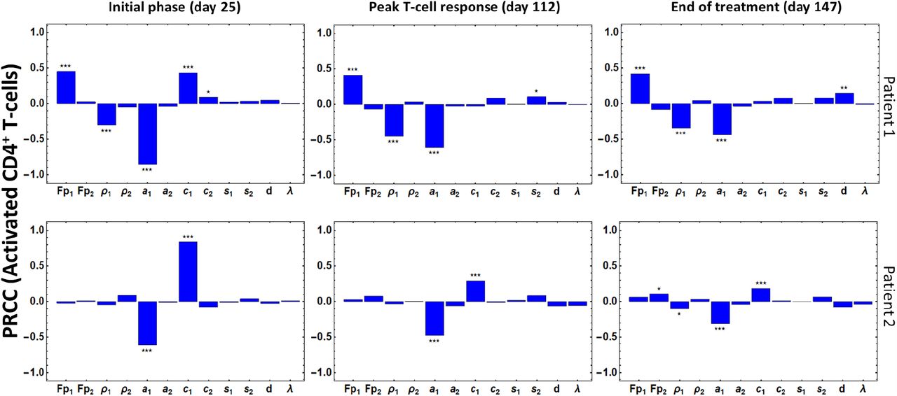 Mathematical Model Of A Personalized Neoantigen Cancer Vaccine And The Human Immune System Evaluation Of Efficacy Medrxiv