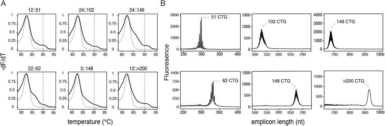 Foil Test - Foil Variabilities - CTG Technical Blog