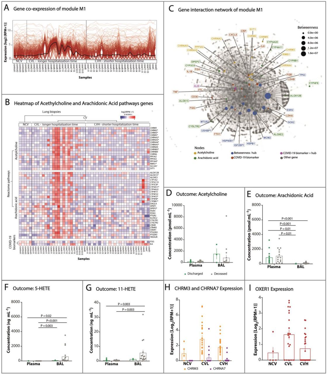 Cholinergic and lipid mediators crosstalk in Covid-19 and the impact of  glucocorticoid therapy | medRxiv