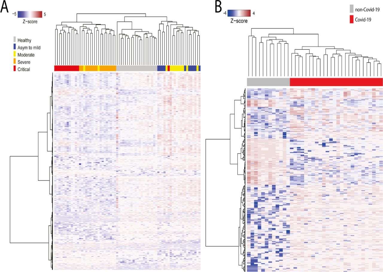 Cholinergic and lipid mediators crosstalk in Covid-19 and the impact of  glucocorticoid therapy | medRxiv