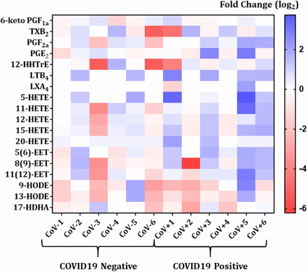 Figure 5: