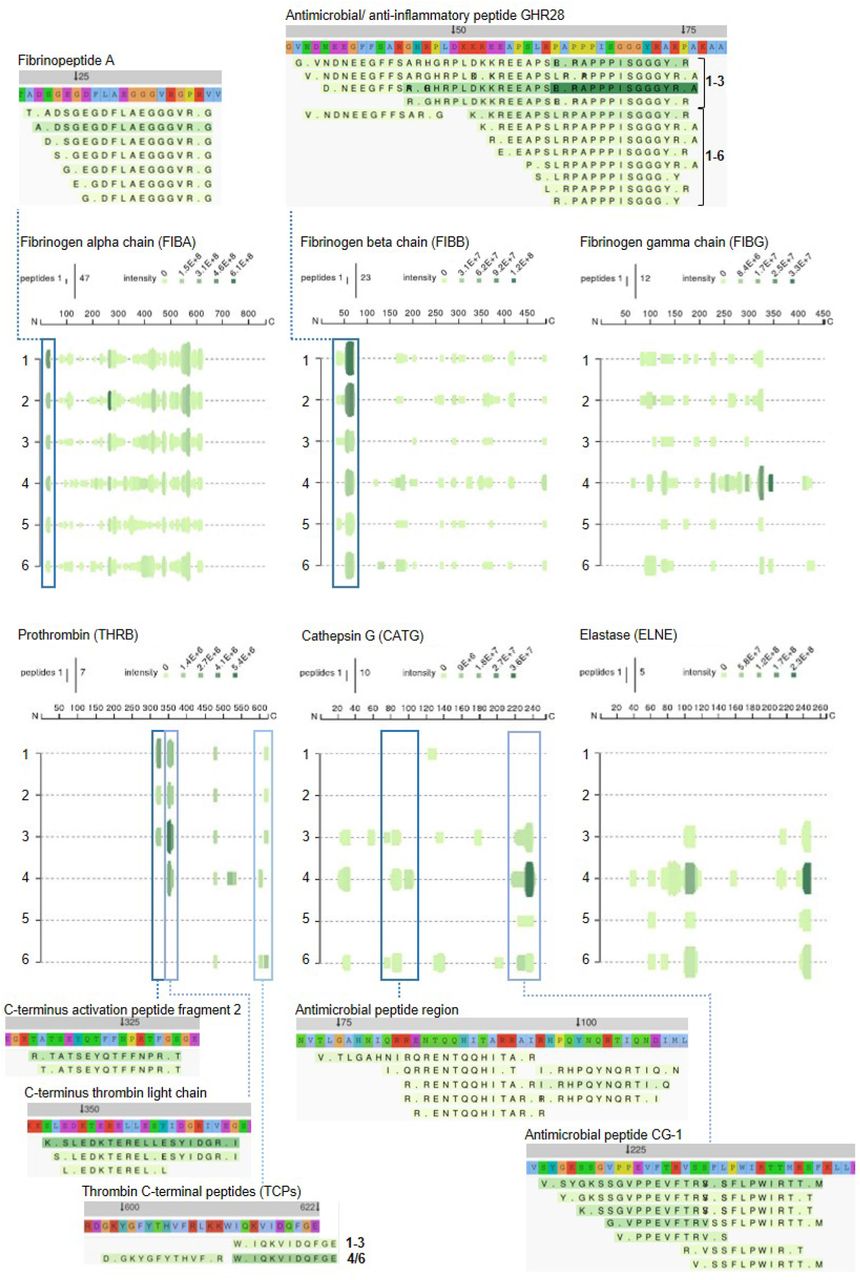 Method Development And Characterization Of The Low Molecular Weight Peptidome Of Human Wound Fluids Medrxiv