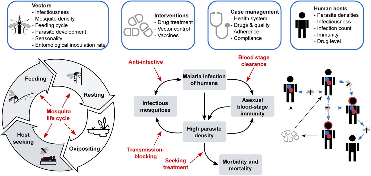 Combining Machine Learning And Mathematical Models Of Disease Dynamics ...