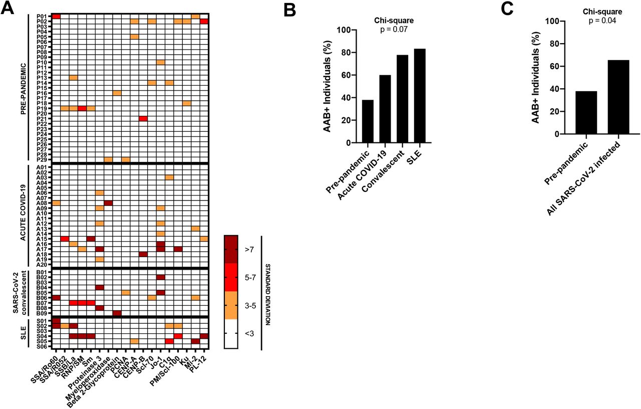 Distinct Autoimmune Antibody Signatures Between Hospitalized Acute Covid 19 Patients Sars Cov 2 Convalescent Individuals And Unexposed Pre Pandemic Controls Medrxiv