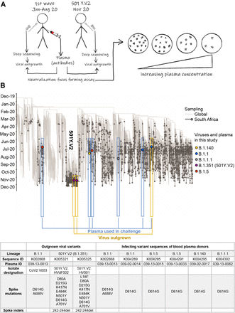 Figure 1: