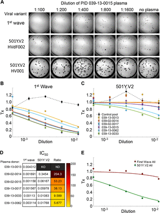 Figure 2: