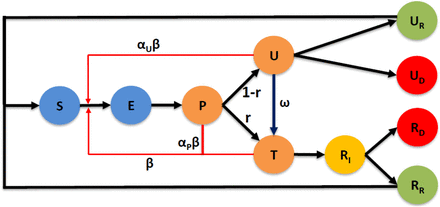 Figure 1: