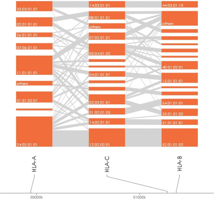 Figure 2: