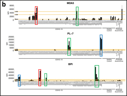 Fig. 3: