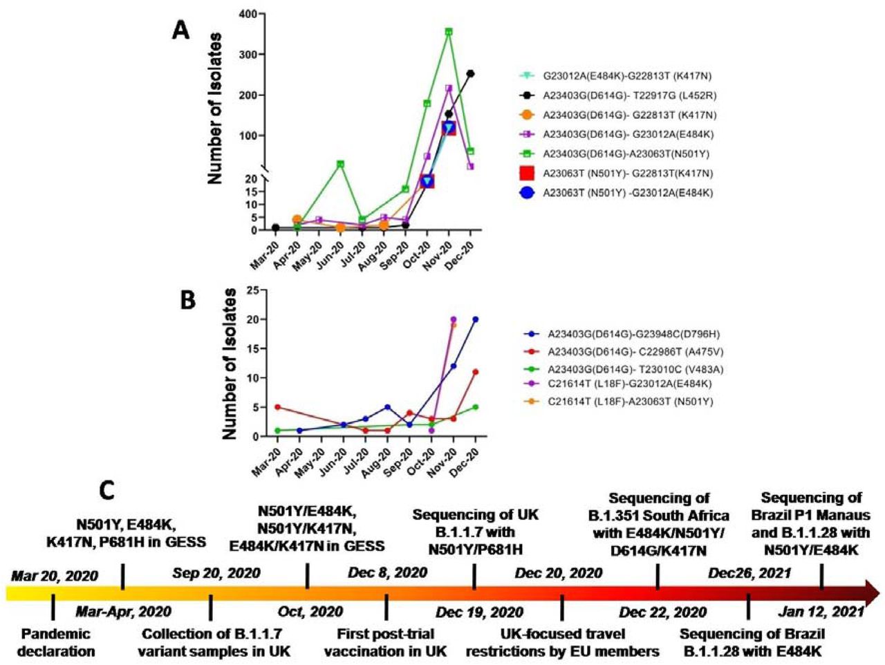 Structural Basis Of Fitness Of Emerging Sars Cov 2 Variants And Considerations For Screening Testing And Surveillance Strategy To Contain Their Threat Medrxiv
