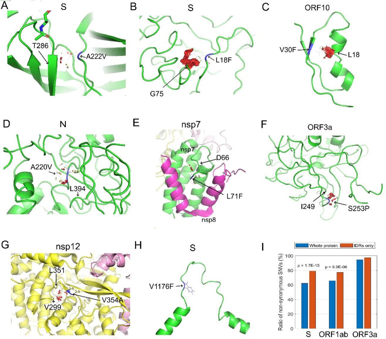 Updated Sars Cov 2 Single Nucleotide Variants And Mortality Association Medrxiv