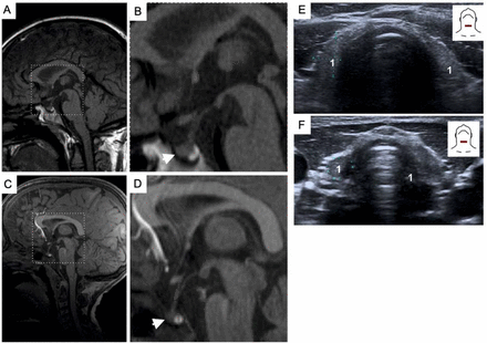 Supplementary Figure 1.