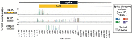 Supplementary Figure 4.