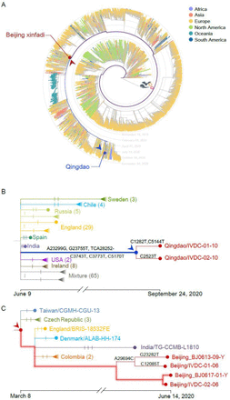 Figure 3.