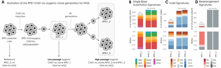 FIGURE 3: