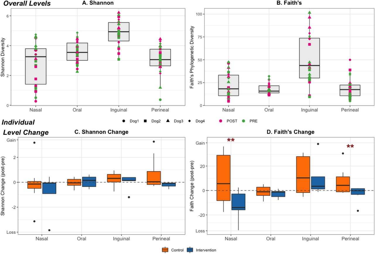 Impact Of A Chlorhexidine Decolonization On The Nasal And Dermal Microbiome Of Therapy Dogs Participating In Hospital Animal Assisted Intervention Programs A Pilot Study Medrxiv