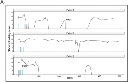 Figure 1A: