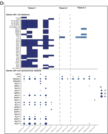 Figure 1D: