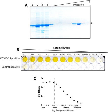 Fig 1.