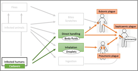 Fig 2.