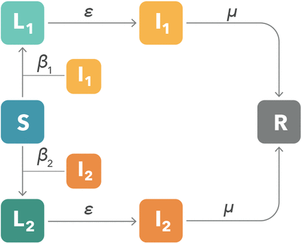 Figure 3: