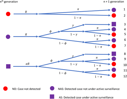 Using Next Generation Matrices To Estimate The Proportion Of Cases That Are Not Detected In An Outbreak Medrxiv