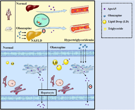 Figure 4: