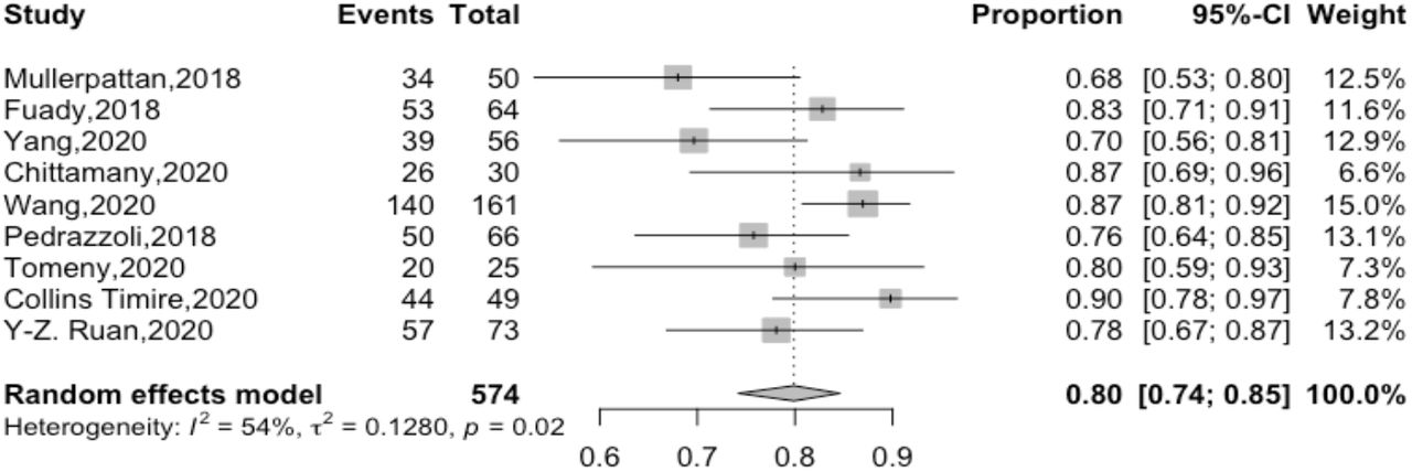 A Systematic Review and Meta Analysis on Catastrophic Cost