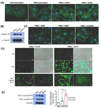 Figure 4: