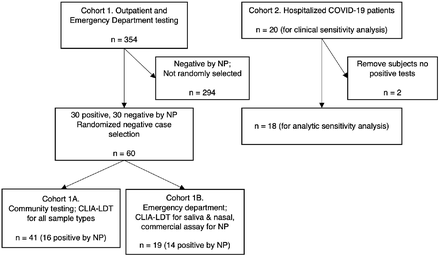 Figure 1: