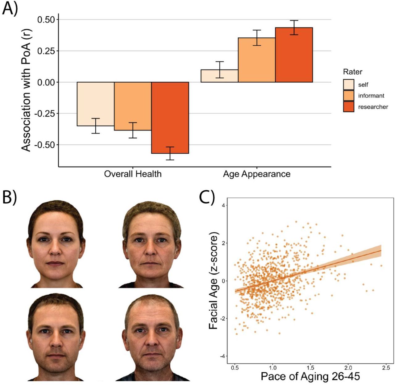 Correlation analysis of chronological age, scores in modified frailty