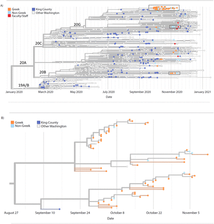 Figure 4: