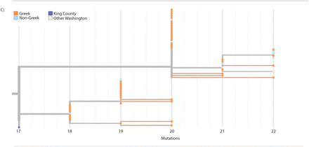 Figure 4: