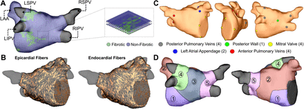 Figure 1: