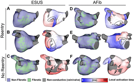 Figure 4: