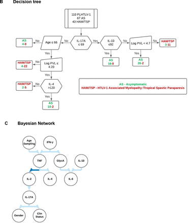 Legend Fig. 2: