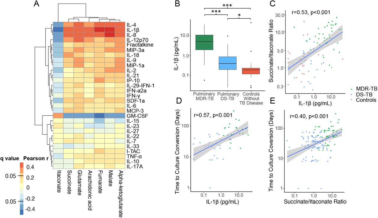 TCA cycle remodeling drives proinflammatory signaling in humans 