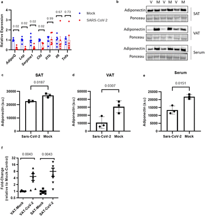 Fig 3.