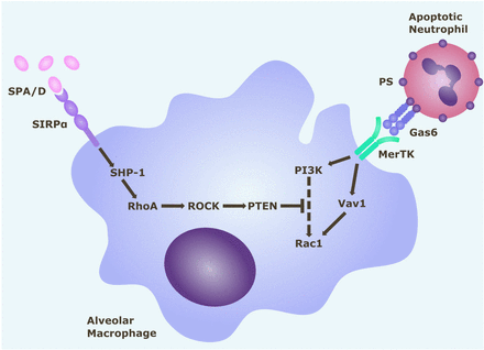 Figure 5: