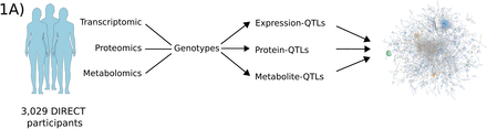 Figure 1A