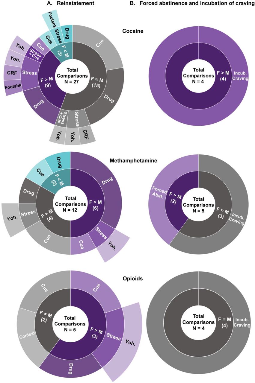 Sex differences in opioid and psychostimulant craving and relapse: a  critical review | medRxiv