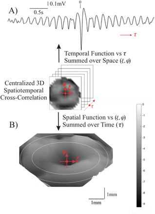 Figure 3: