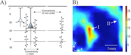 Figure 5: