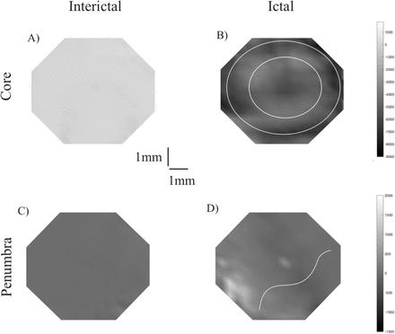 Figure S2: