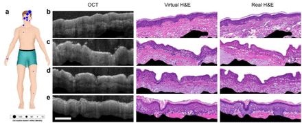 Figure 3: