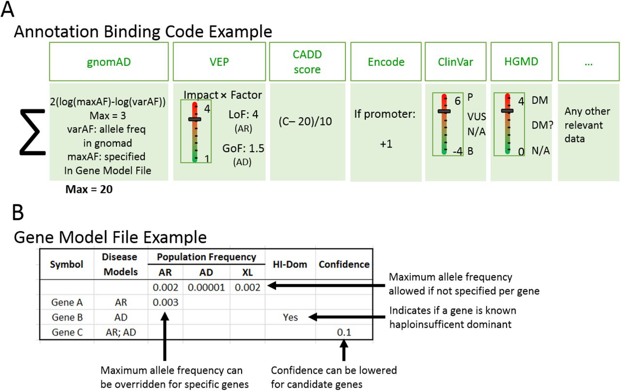 The Importance Of Automation In Genetic Diagnosis Lessons From Analyzing An Inherited Retinal Degeneration Cohort With The Mendelian Analysis Toolkit Matk Medrxiv