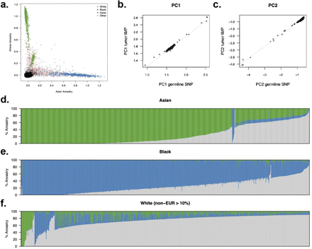 Figure 6: