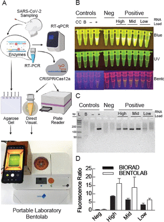 Figure 4.