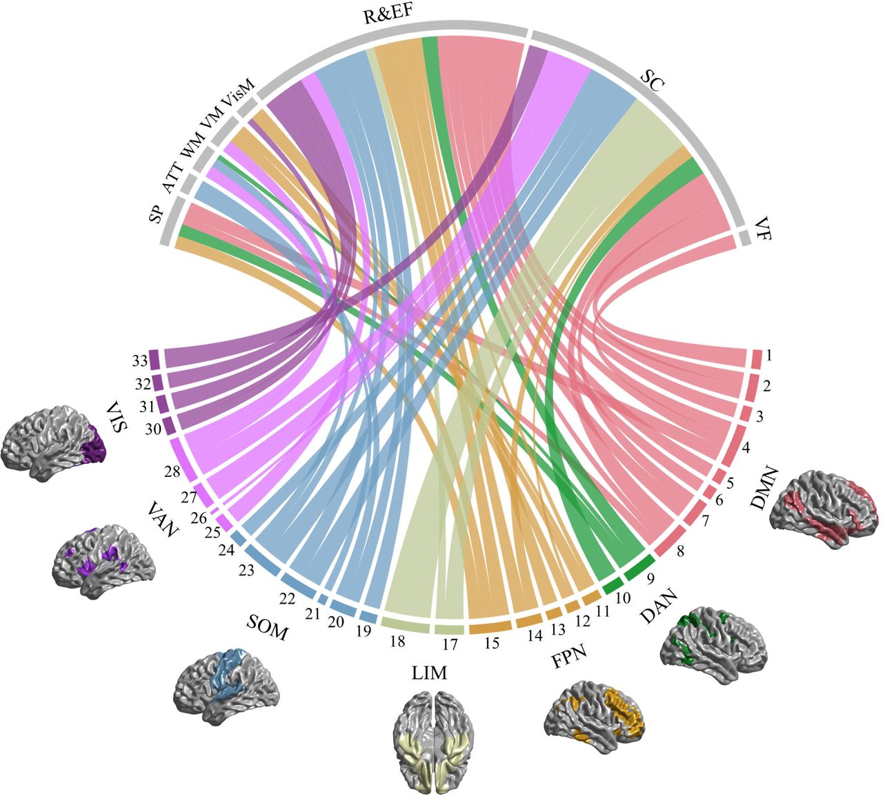 Large-scale analysis of structural brain asymmetries in schizophrenia via  the ENIGMA consortium