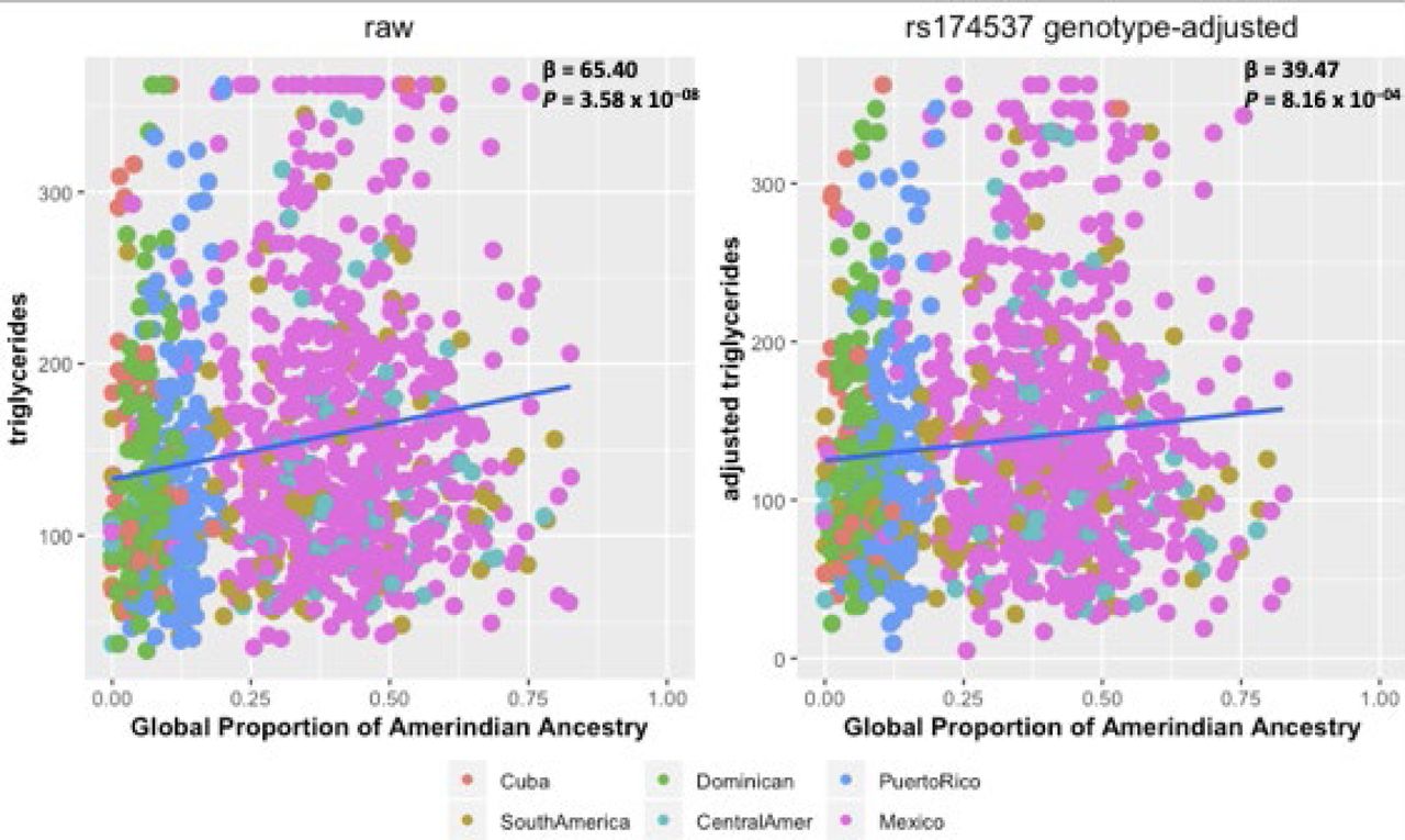 Amerind Ancestry Predicts The Impact Of Fads Genetic Variation On Omega 3 Pufa Deficiency Cardiometabolic And Inflammatory Risk In Hispanic Populations Medrxiv